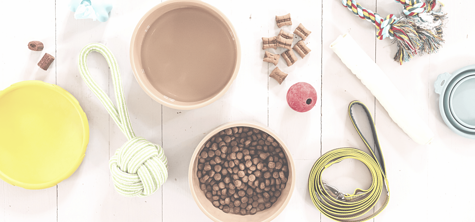 A variety of dog items on a white-washed wooden background including a frisbee, tug toy, bowl of water, bowl of kibble, treats, and a leash