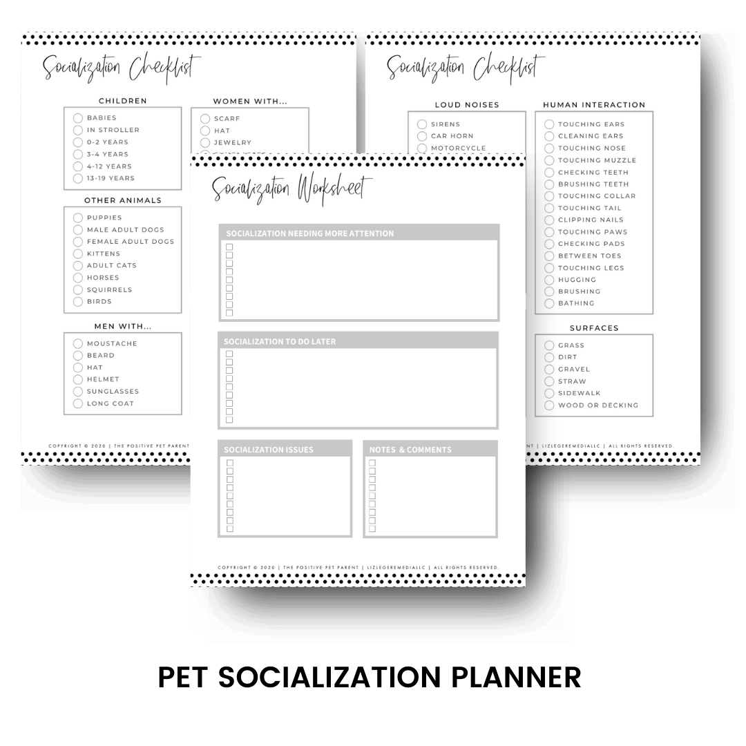 Socialization checklist, side by side, and socialization worksheet on top: Pet socialization planner