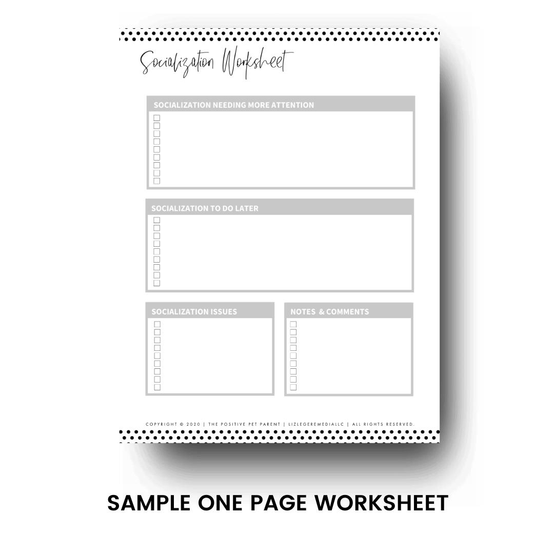 Socialization Worksheet: Sample one page worksheet - blank