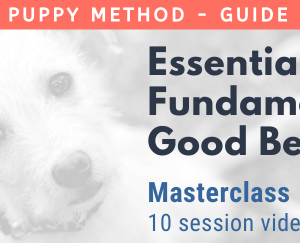 The settled puppy method - Guide #1 + Course Essential Fundamentals of Good Behavior Masterclass 10 session video series + guide