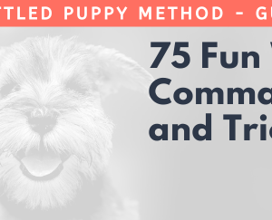 The settled puppy method - Guide #3 75 Fun Words Commands and Tricks Guidebook