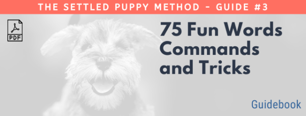 The settled puppy method - Guide #3 75 Fun Words Commands and Tricks Guidebook